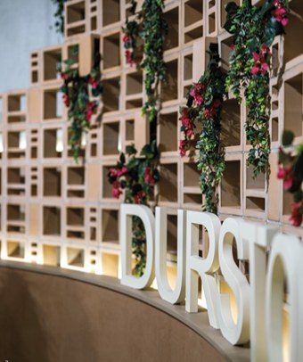 Perete decorativ din celosia Lumina, cu plante agățătoare — Durstone